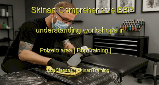 Skinart Comprehensive BBP understanding workshops in Polzelo area | BbpTraining | BbpClasses | SkinartTraining-Slovenia